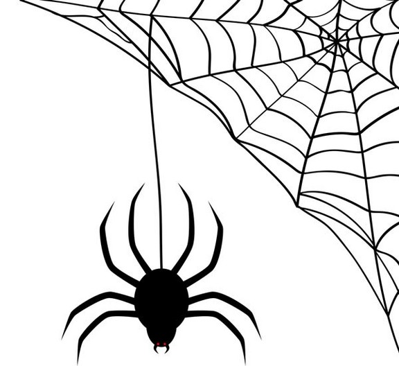 spider_h_h