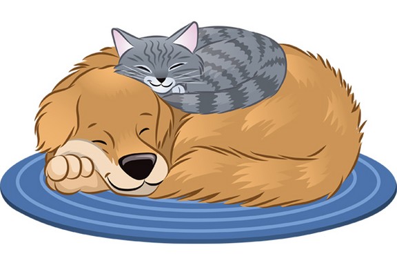 nap