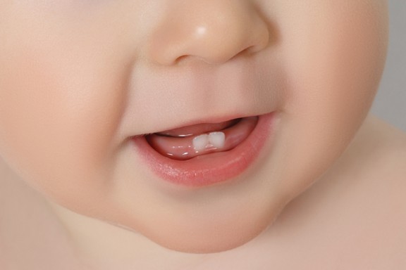 teeth