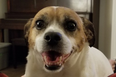 buster
