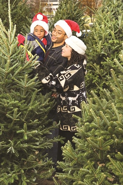 Family_Finding_Tree