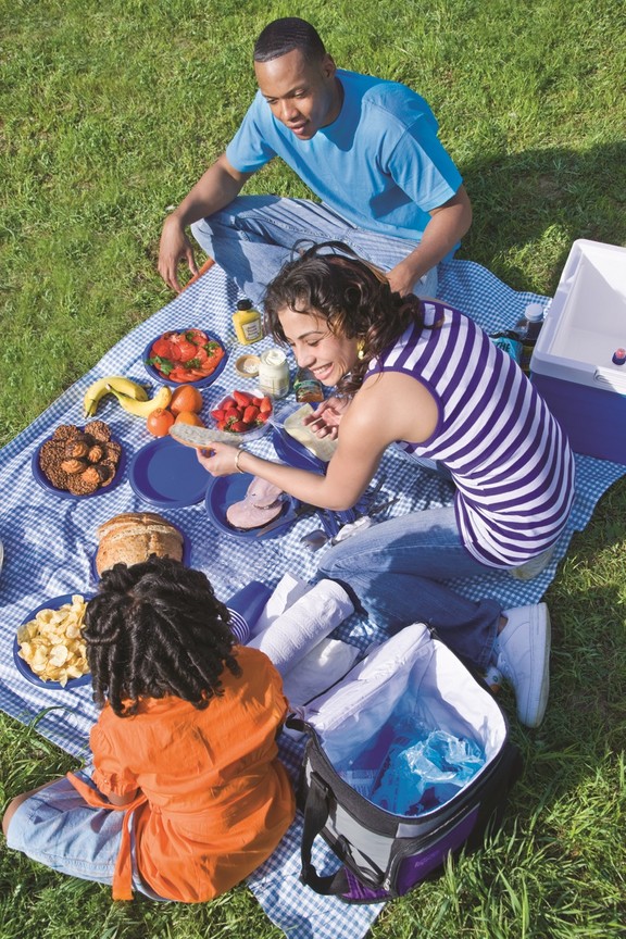 Picnic_with_the_Family