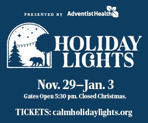 CALMHolidayLights2025