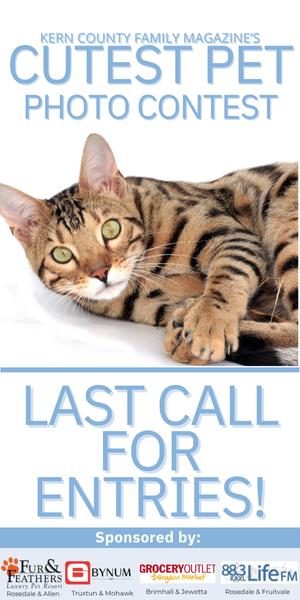 petcontest.JUL25.300x600.web.ad