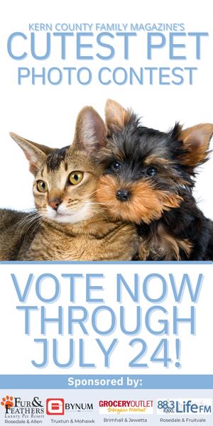 petcontest.JUL25.300x600.web.ad