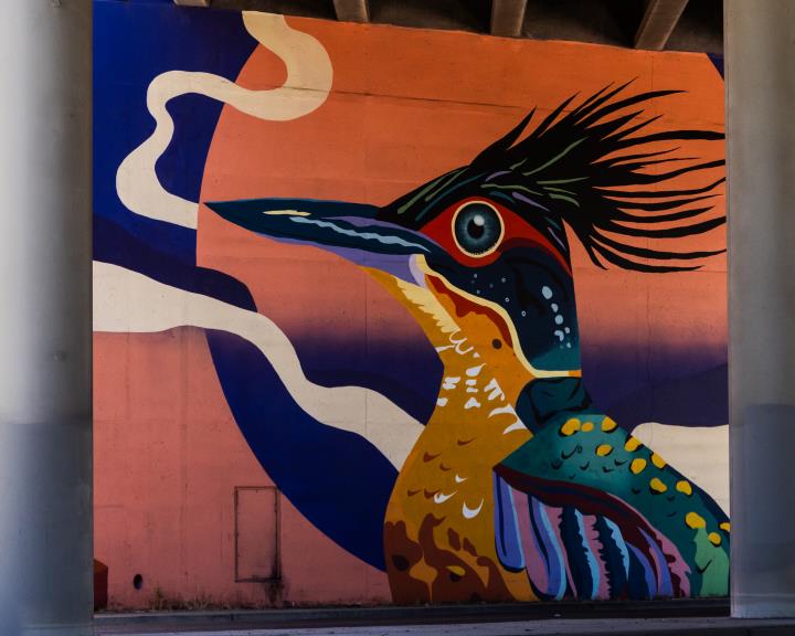 Roadrunner.staceyP.jpg