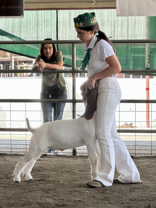 4-H.jpeg