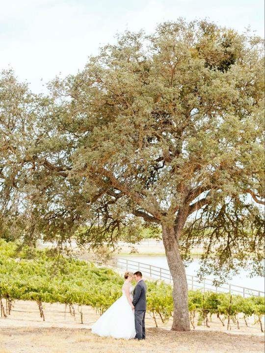 wedding courtesy Mike Larson.jpg