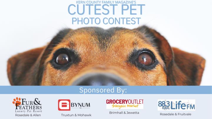 petcontest.secondstreet.2025.png