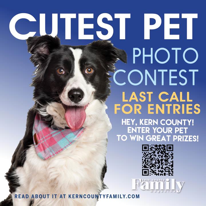 Last Call for Entries!