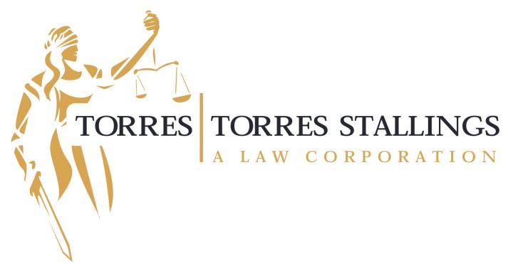 David Torres Logo.png