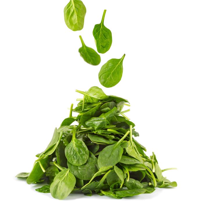 Spinach.jpg