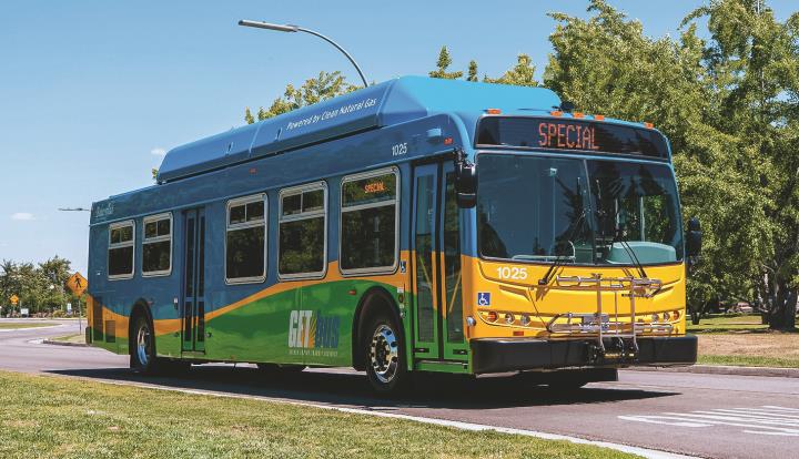 buses.jpg