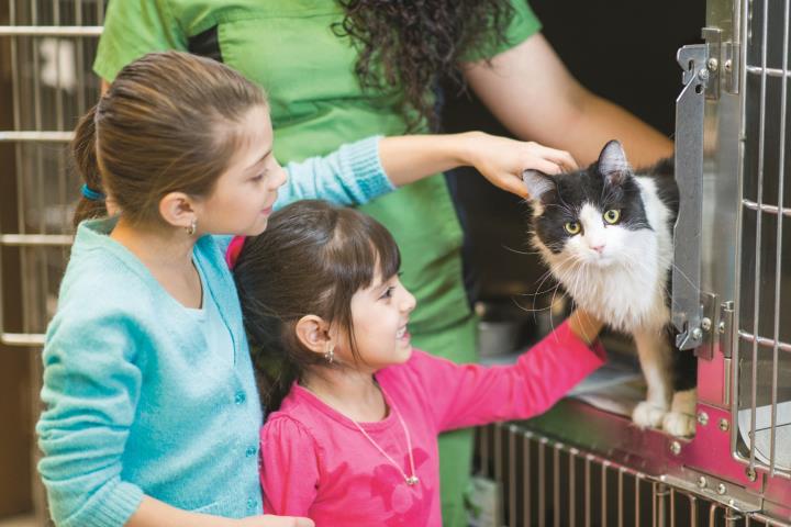 Adopt.jpg