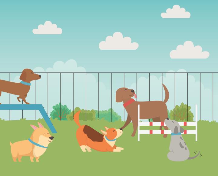 dog parks (3).jpg