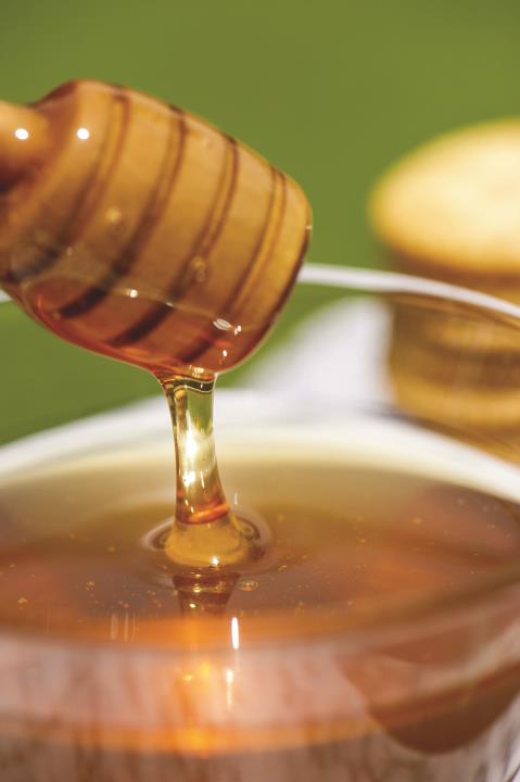 Honey.jpg