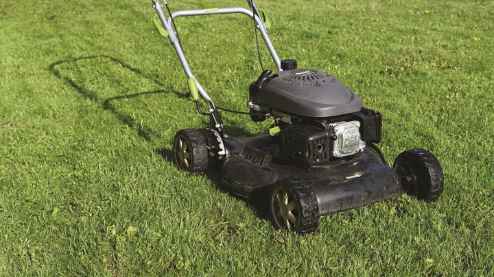 16969_SpringLawnCare.jpg