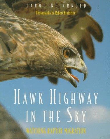 highway.jpg