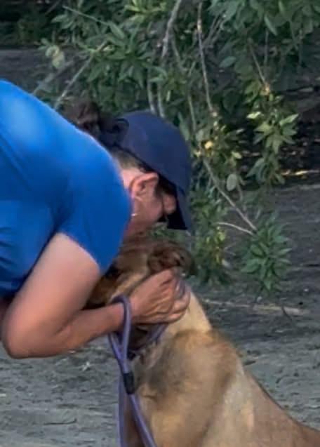 Bakersfield Strays (4).jpeg