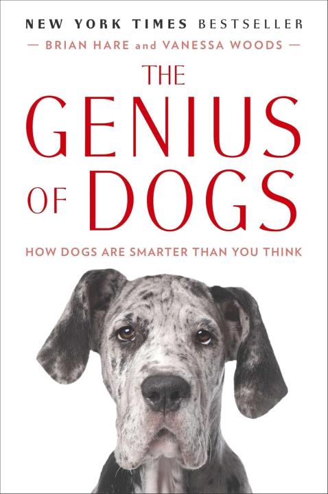 genius.jpg